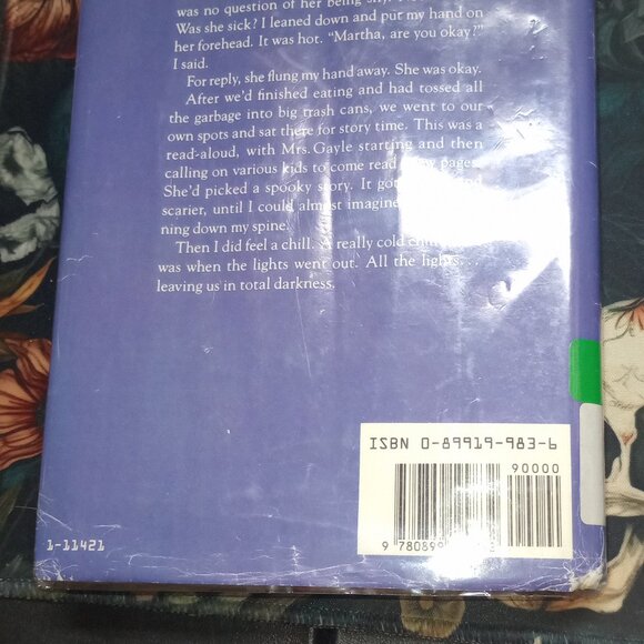 Vintage Kids Book The Night the Whole Class Slept Over by Stella Pevsner 90s Rea - Picture 7 of 7